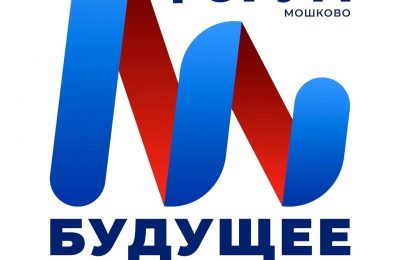 Стать лицом патриотической молодёжи района могут мошковские активисты