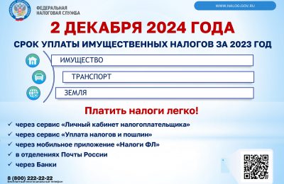 Не позднее 2 декабря: не забудьте заплатить налоги