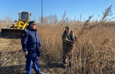 Прокуратурой Мошковского района проконтролировано уничтожение дикорастущей конопли в районе дороги «Смоленский-Орск»