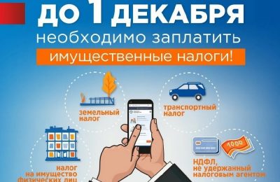 1 декабря 2024 года — срок окончания уплаты имущественных налогов