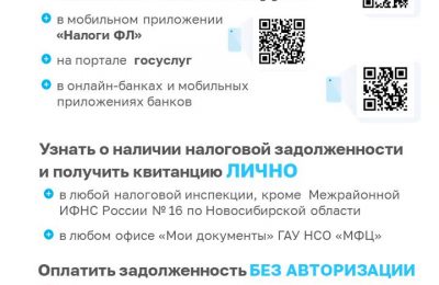 Как узнать о наличии налоговой задолженности и погасить ее