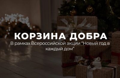 Присоединиться к Всероссийской акции «Новый год в каждый дом» приглашают жителей Мошковского района