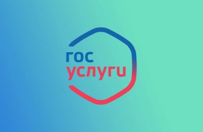 Заявления, проверки и выписки: что сделать на Госуслугах в праздники