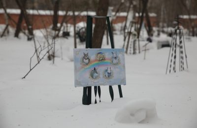 Жителям, выбрасывающим мертвых питомцев, грозит штраф от четырех до 700 тысяч рублей