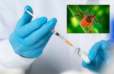 Жителей Мошковского района приглашают на вакцинацию от клещевого энцефалита