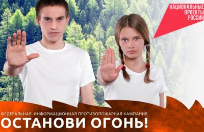 Противопожарная акция «Останови огонь!» стартовала в Новосибирской области