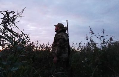 Новые правила весенней охоты начали действовать в Новосибирской области