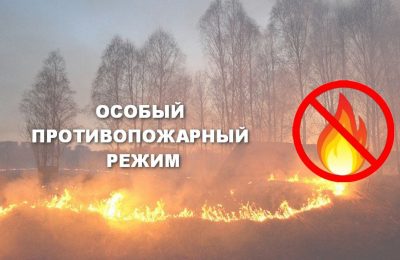 С 25 апреля на всей территории Новосибирской области вводится особый противопожарный режим