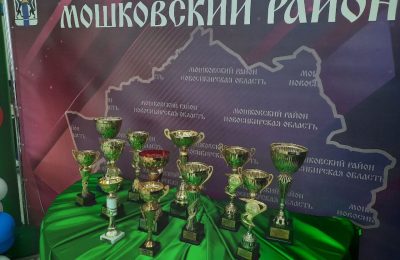 В Мошковском районе подвели итоги летнего спортивного сезона