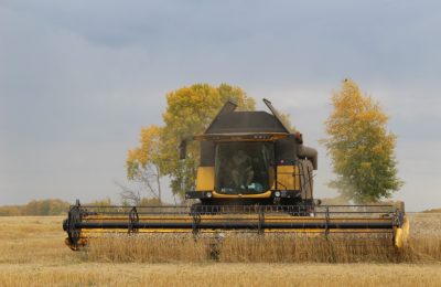 Новосибирская область расширит площадь земель сельхозназначения
