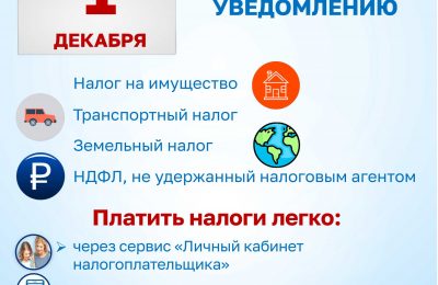 Срок уплаты имущественных налогов и НДФЛ -1 декабря 2025 года