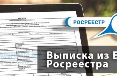 Онлайн-выписка из ЕГРН за минуту: обзор сервиса на портале Госуслуг