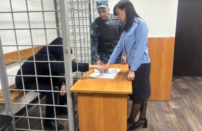 Неуплата алиментов привела к месяцу тюрьмы для жителя Мошковского района