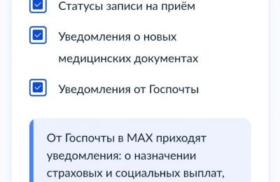 Уведомления об оказании госуслуг жители Новосибирской области теперь могут получать в МАХ