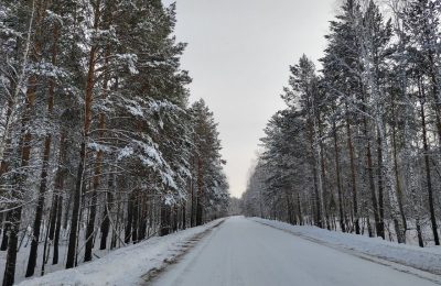 Жителей Новосибирской области ждёт очередная волна морозов