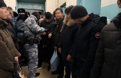 Судебные приставы за три дня выдворили почти сотню мигрантов, нарушивших закон