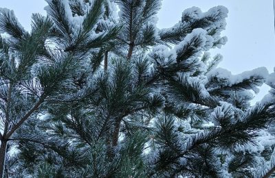 Новая рабочая неделя принесёт непростые погодные условия
