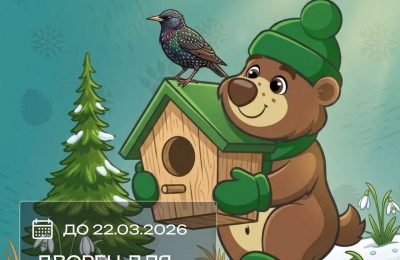 Новосибирский зоопарк проводит конкурс «Дворец для скворца»