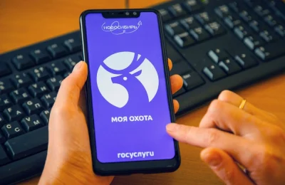 Охотники смогут оформить электронные разрешения на все виды птиц и пушных животных