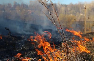 В Мошковском районе действует пожароопасный сезон