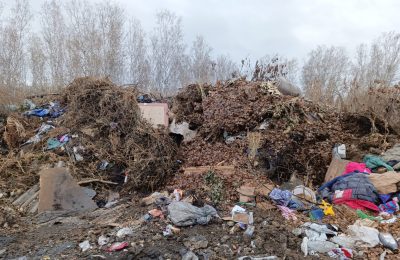Россельхознадзор напоминает о запрете стихийных свалок на землях сельхозназначения