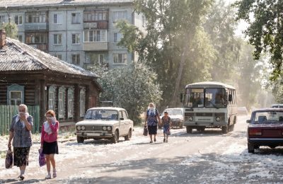 Как защититься от тополиного пуха: советы экспертов